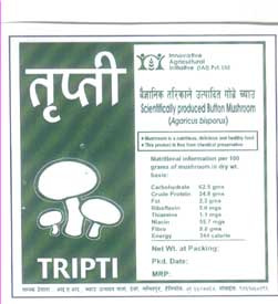 Mark logo