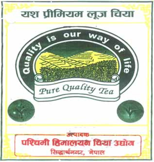 Mark logo