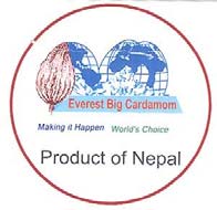 Mark logo