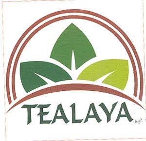 Mark logo