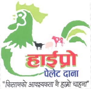 Mark logo