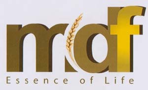 Mark logo