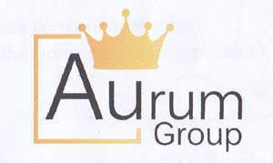 Mark logo