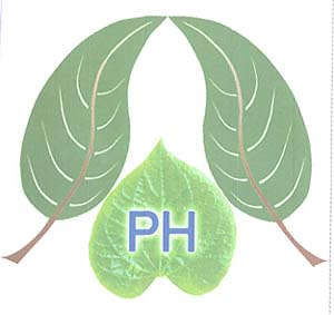 Mark logo