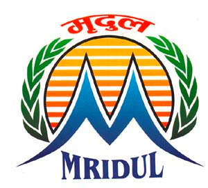Mark logo
