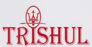 Mark logo