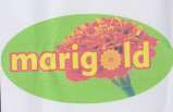 Mark logo