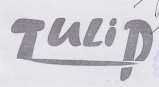 Mark logo
