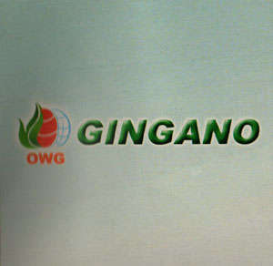 Mark logo