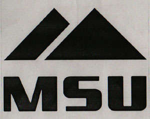 Mark logo