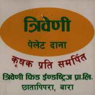 Mark logo