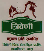Mark logo