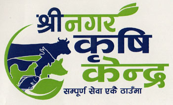 Mark logo