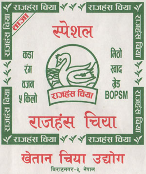 Mark logo