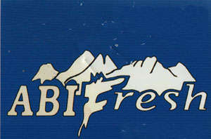 Mark logo