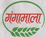 Mark logo