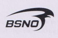 BSNO (and logo)