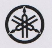 DEVICE MARK