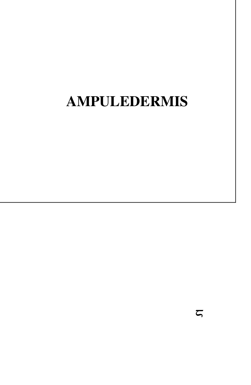 AMPULEDERMIS 8