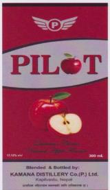 PILOT (and logo)