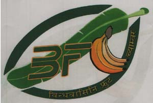 Mark logo