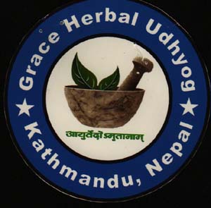 Mark logo