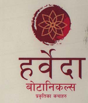 Mark logo