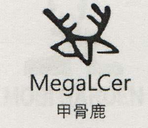 Mark logo