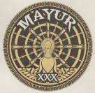 Mark logo