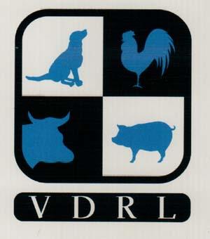 Mark logo