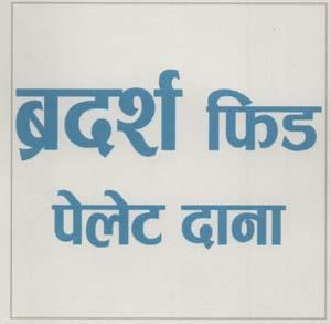 Mark logo