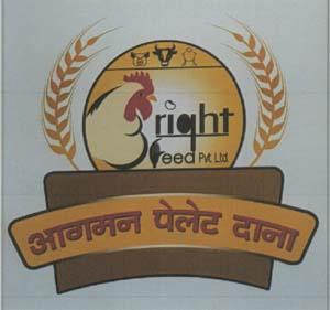 Mark logo