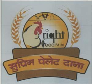 Mark logo