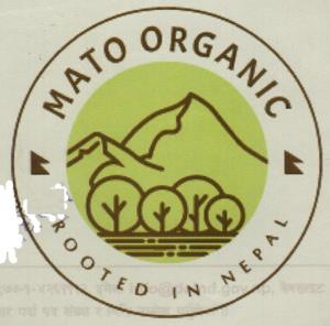 Mark logo