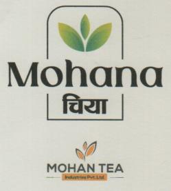 Mark logo