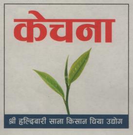 Mark logo