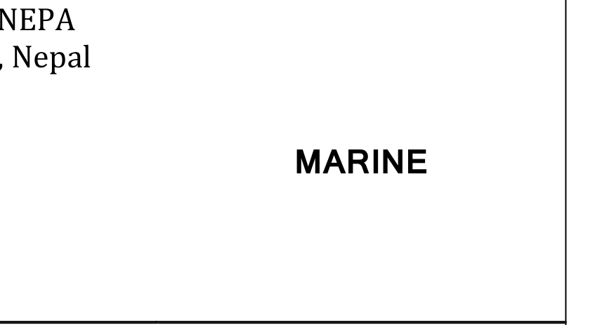 Mark logo