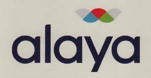 Mark logo