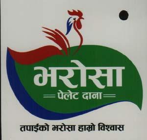 Mark logo