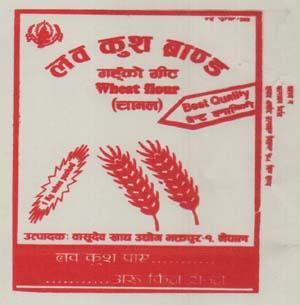 Mark logo