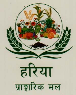 Mark logo