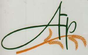 Mark logo