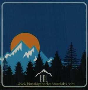 Mark logo