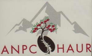 Mark logo