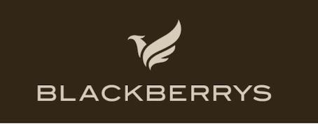 Mark logo