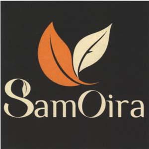 Mark logo