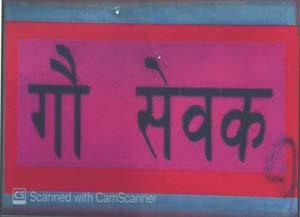Mark logo