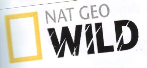 Mark logo