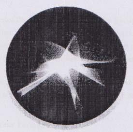 Mark logo