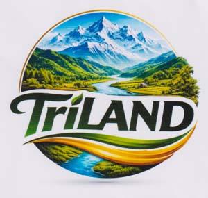 Mark logo